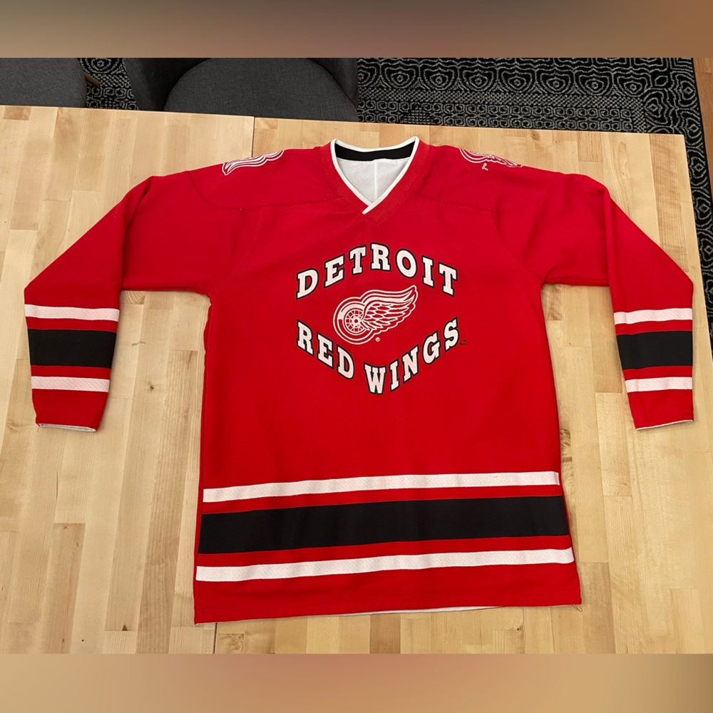 Detroit Red Wings Reversible Hockey Jersey, kids sz XL but fits like adult small